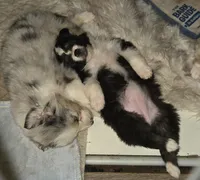 processed/038f00a1-dbf4-4352-9dc3-3a4ed83f1c82/listing/30e764ef-390d-41c2-a8ca-7660126da931/07a3dc3d-4bba-426c-9985-cbf4769f41e5