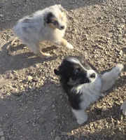 processed/038f00a1-dbf4-4352-9dc3-3a4ed83f1c82/listing/30e764ef-390d-41c2-a8ca-7660126da931/6b3d74ea-a425-459c-af9c-1c9c6b4766eb