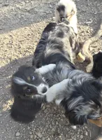 processed/038f00a1-dbf4-4352-9dc3-3a4ed83f1c82/listing/30e764ef-390d-41c2-a8ca-7660126da931/9818fecf-8b77-4e57-91f9-04a26a27bf5e