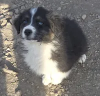 processed/038f00a1-dbf4-4352-9dc3-3a4ed83f1c82/listing/30e764ef-390d-41c2-a8ca-7660126da931/a7c6b3fe-b6f9-4b31-a00b-1cc5bd770b31