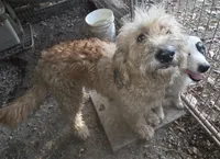 processed/038f00a1-dbf4-4352-9dc3-3a4ed83f1c82/listing/35a0e195-607b-4759-b367-51a7ac32f175/49caf570-ad93-4648-b9e5-a2870b516349