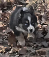 processed/038f00a1-dbf4-4352-9dc3-3a4ed83f1c82/listing/508c8a62-6e4a-455e-96b8-654b8c11cb62/83a76143-1947-41de-81c9-1de9449f27cb