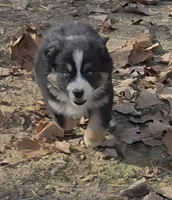 processed/038f00a1-dbf4-4352-9dc3-3a4ed83f1c82/listing/508c8a62-6e4a-455e-96b8-654b8c11cb62/91ae9d04-cfb9-4c1d-9f34-66ba5d255195