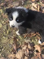 processed/038f00a1-dbf4-4352-9dc3-3a4ed83f1c82/listing/837f665d-4e5d-47af-90f0-04e39cf1fef7/3c576b8f-96d6-4d50-be73-1e43b3ad7dac