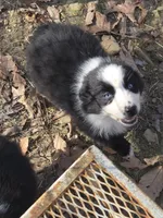 processed/038f00a1-dbf4-4352-9dc3-3a4ed83f1c82/listing/837f665d-4e5d-47af-90f0-04e39cf1fef7/78a360cc-6c79-42e3-b280-f5f2ee5c787d