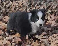 processed/038f00a1-dbf4-4352-9dc3-3a4ed83f1c82/listing/837f665d-4e5d-47af-90f0-04e39cf1fef7/83c27c65-1a4f-406a-aa1b-c60e13e983ee