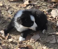 processed/038f00a1-dbf4-4352-9dc3-3a4ed83f1c82/listing/837f665d-4e5d-47af-90f0-04e39cf1fef7/cb9c5b81-48c2-453d-b301-0e87322065bf