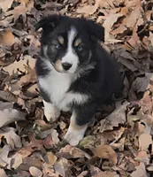 processed/038f00a1-dbf4-4352-9dc3-3a4ed83f1c82/listing/993ab2f3-263c-4c75-a713-fedd26e59c72/1b725d8d-eb29-48f1-94b9-bf3574c53979