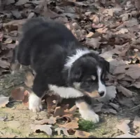 processed/038f00a1-dbf4-4352-9dc3-3a4ed83f1c82/listing/993ab2f3-263c-4c75-a713-fedd26e59c72/2e7bcead-0aa8-446f-8890-906693badd42