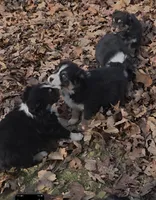 processed/038f00a1-dbf4-4352-9dc3-3a4ed83f1c82/listing/993ab2f3-263c-4c75-a713-fedd26e59c72/764a8af9-7810-433d-962a-f011954ce863