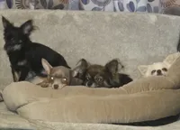 processed/038f00a1-dbf4-4352-9dc3-3a4ed83f1c82/listing/c3d50d18-c554-45b8-9913-9aaa0aacfa2d/259ac4ad-6822-4b6c-9c4a-cc5156758fe4