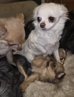 processed/038f00a1-dbf4-4352-9dc3-3a4ed83f1c82/listing/c3d50d18-c554-45b8-9913-9aaa0aacfa2d/43bfbdc7-ab02-4521-a1ae-d675c2047f40