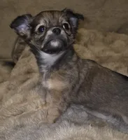 processed/038f00a1-dbf4-4352-9dc3-3a4ed83f1c82/listing/c3d50d18-c554-45b8-9913-9aaa0aacfa2d/f739ca08-7c53-42f1-87fc-94f9c7ab3484