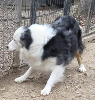 processed/038f00a1-dbf4-4352-9dc3-3a4ed83f1c82/listing/dba40819-3e47-40e6-849c-8254b301618e/20310d11-0d91-46e6-bc64-ee8f64178c8f