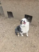 processed/038f00a1-dbf4-4352-9dc3-3a4ed83f1c82/listing/dba40819-3e47-40e6-849c-8254b301618e/7d6c8684-cd8d-4731-a0c3-2de0ed812292