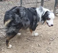 processed/038f00a1-dbf4-4352-9dc3-3a4ed83f1c82/listing/dba40819-3e47-40e6-849c-8254b301618e/adcb43cb-ce0b-424f-85d7-571b0684cbd6