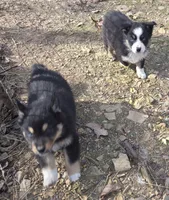 processed/038f00a1-dbf4-4352-9dc3-3a4ed83f1c82/listing/dc324a68-552d-40e2-88f1-bf8a4bd6716b/802aed95-5cff-4d2b-b05c-e5572f23fc43