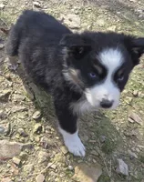 processed/038f00a1-dbf4-4352-9dc3-3a4ed83f1c82/listing/dc324a68-552d-40e2-88f1-bf8a4bd6716b/c938e0a0-5639-4a90-bf00-2107c819921b