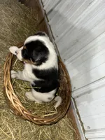 processed/0392b79e-ad93-4bea-af10-4cc58a48467f/listing/1e889047-6839-4695-9b2b-b017a013db09/41466edf-3489-44dc-b2c5-2709d3f9e1d8