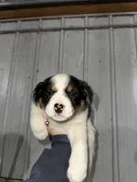 processed/0392b79e-ad93-4bea-af10-4cc58a48467f/listing/1e889047-6839-4695-9b2b-b017a013db09/4e024be6-52fe-4ae3-b8e1-42ef4826f011