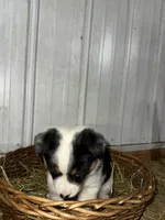 processed/0392b79e-ad93-4bea-af10-4cc58a48467f/listing/1e889047-6839-4695-9b2b-b017a013db09/7a7693f8-ffe0-40d4-949e-3dc369f434ed