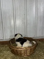 processed/0392b79e-ad93-4bea-af10-4cc58a48467f/listing/1e889047-6839-4695-9b2b-b017a013db09/8e47e419-d362-46ca-90b5-9506ae6bcc26