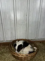 processed/0392b79e-ad93-4bea-af10-4cc58a48467f/listing/1e889047-6839-4695-9b2b-b017a013db09/b91b0743-487f-42bd-b690-ef2ac23f8d3d