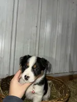 processed/0392b79e-ad93-4bea-af10-4cc58a48467f/listing/1e889047-6839-4695-9b2b-b017a013db09/b9681d76-ef21-431f-a534-fd985d6ebe36