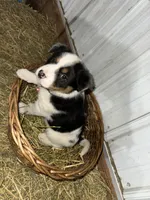 processed/0392b79e-ad93-4bea-af10-4cc58a48467f/listing/1e889047-6839-4695-9b2b-b017a013db09/e7a2268c-78e1-43fd-a29a-5c15a648dac6