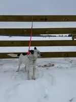 processed/0392b79e-ad93-4bea-af10-4cc58a48467f/listing/810b057a-3976-451e-b2de-f8f3e7505cfc/31f03ea9-b4ce-48b5-becb-597db5433e2e