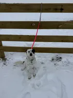 processed/0392b79e-ad93-4bea-af10-4cc58a48467f/listing/810b057a-3976-451e-b2de-f8f3e7505cfc/79472489-1c61-4e7a-9006-6002042e6249