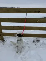 processed/0392b79e-ad93-4bea-af10-4cc58a48467f/listing/810b057a-3976-451e-b2de-f8f3e7505cfc/856f9c9a-16dc-449b-93f9-0341fddc55a7