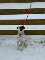 processed/0392b79e-ad93-4bea-af10-4cc58a48467f/listing/810b057a-3976-451e-b2de-f8f3e7505cfc/be9acaaa-b84b-41fb-a69d-5fd949f6fc05