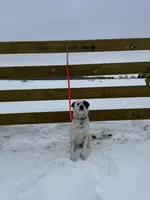 processed/0392b79e-ad93-4bea-af10-4cc58a48467f/listing/810b057a-3976-451e-b2de-f8f3e7505cfc/e40aac94-8e31-4b63-815d-9c3b9dfe79e3