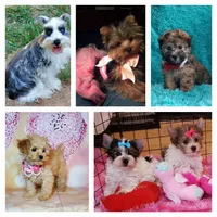 processed/039b9c6c-7b4a-403c-be4a-67def5934413/facility/f15933ad-0d22-4ae3-b835-195ffa38b37d