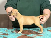 processed/039fec7d-e48c-496f-ba4d-1659b49d3e69/listing/991f2659-cd9f-4064-a576-fa206c1af9de/c81e7e51-3517-453d-b1b7-159e9e605905