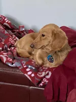 processed/03ae2345-c52b-43cd-90a5-ea7e5001936e/facility/3d168d9a-ef58-44f5-aa86-e7c89712b522