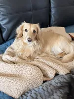 processed/03ae2345-c52b-43cd-90a5-ea7e5001936e/facility/5ea3c97d-1a87-4c67-b2ea-52fb01012079