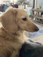 processed/03ae2345-c52b-43cd-90a5-ea7e5001936e/facility/808c5947-d4a6-447c-baba-5d0bbfaf3ab6