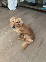 processed/03ae2345-c52b-43cd-90a5-ea7e5001936e/facility/b0d5c1bf-8cc5-42e7-8992-0432d1ac56cb