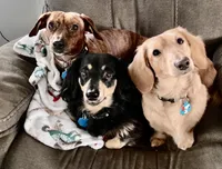 processed/03ae2345-c52b-43cd-90a5-ea7e5001936e/facility/e9b743ba-3f4e-4c34-9162-d7260473b584