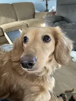 processed/03ae2345-c52b-43cd-90a5-ea7e5001936e/facility/f6f0b7e6-568b-40de-afec-71fc26248f28