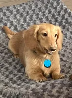 processed/03ae2345-c52b-43cd-90a5-ea7e5001936e/facility/fb925369-bb94-4967-8f68-354ebc0a4f70