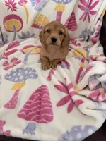 processed/03ae2345-c52b-43cd-90a5-ea7e5001936e/listing/eec4b992-8f2f-419c-b1af-2e873d01fab6/21c31d60-1272-4dc0-bfb3-959efd4a4196