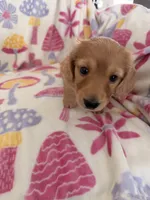 processed/03ae2345-c52b-43cd-90a5-ea7e5001936e/listing/eec4b992-8f2f-419c-b1af-2e873d01fab6/8c240c75-6cc3-4976-bcad-acb2bd7b3c84