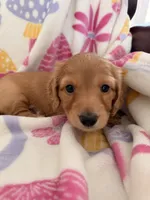 processed/03ae2345-c52b-43cd-90a5-ea7e5001936e/listing/eec4b992-8f2f-419c-b1af-2e873d01fab6/bf4ed52f-7860-4e57-95df-cb00a536b748