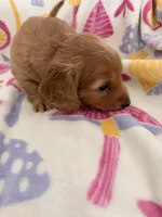 processed/03ae2345-c52b-43cd-90a5-ea7e5001936e/listing/eec4b992-8f2f-419c-b1af-2e873d01fab6/c5c6e047-9daf-48d7-8ce7-1bdfd7139d6c