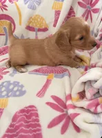 processed/03ae2345-c52b-43cd-90a5-ea7e5001936e/listing/eec4b992-8f2f-419c-b1af-2e873d01fab6/cc695577-8a46-4306-a48c-3bdeeb74335f