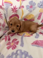 processed/03ae2345-c52b-43cd-90a5-ea7e5001936e/listing/eec4b992-8f2f-419c-b1af-2e873d01fab6/ebe50415-4ec8-403c-8c8d-0ea391ea8c0c