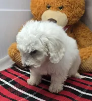 processed/03c23cfd-7357-4450-a9f0-8e1e43f6b93c/listing/0b63403d-eb38-4f0b-a43e-d20e37f70603/a67cbc67-71e5-40db-a851-0686a105081a